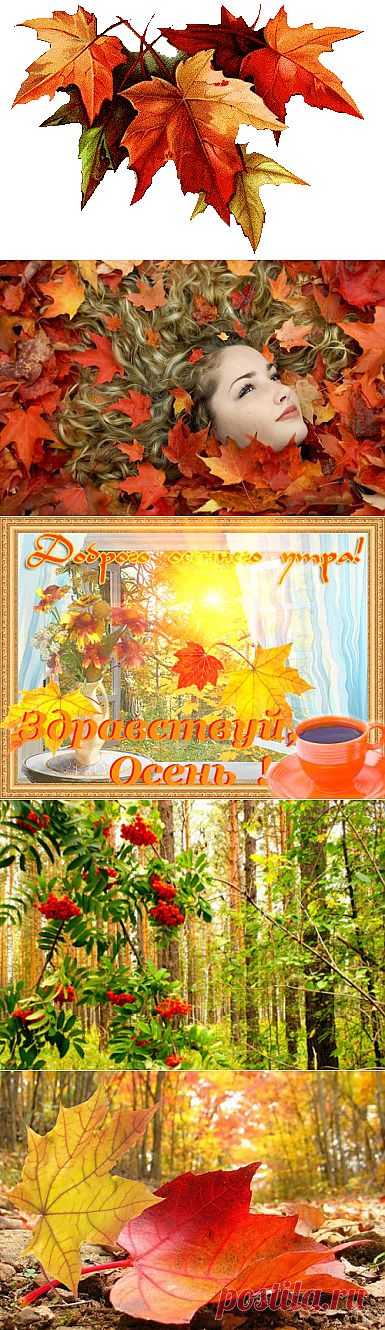 ОСЕНЬ красивые стихи - осенняя пора - Любимые стихи, красивые строки ...