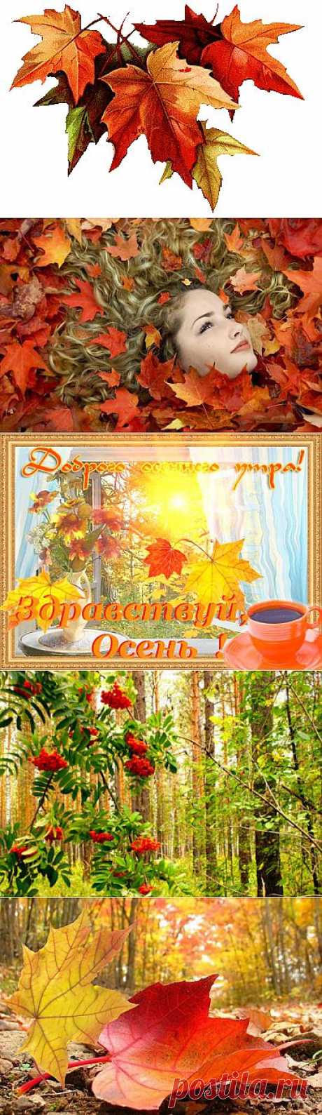 ОСЕНЬ красивые стихи - осенняя пора - Любимые стихи, красивые строки ...