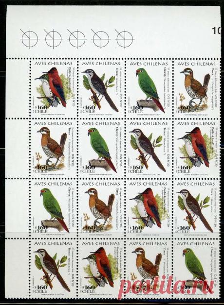Aves Chilenas - Cuadro De 4 Series De Sellos Postales. | Cuotas sin interés