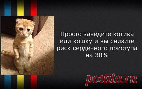 (25) Одноклассники