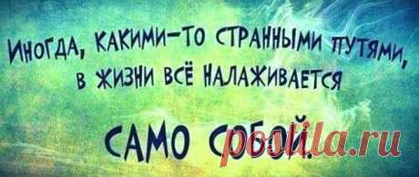 Новости - МирТесен