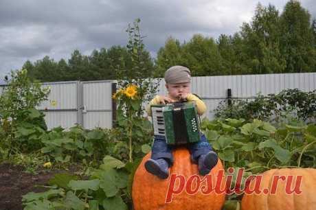 Ольга Харенко
Первый парень на деревне :))