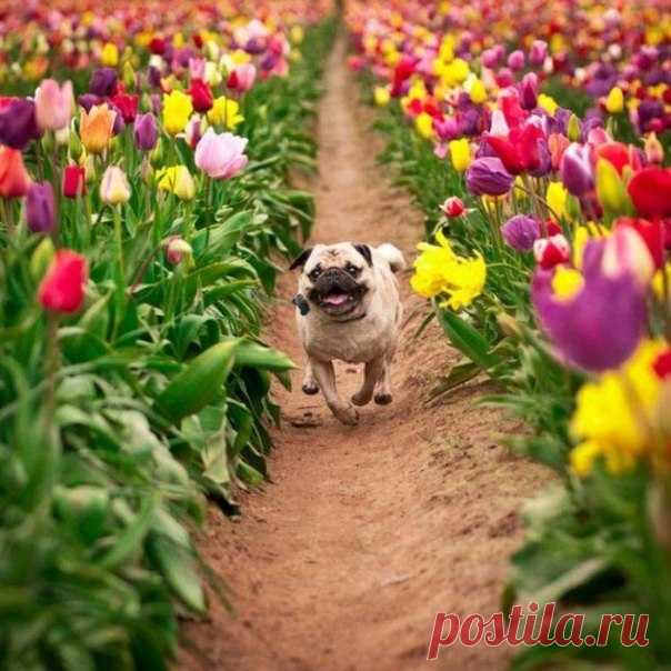 Весне дорогу! 😊 7 позитивных фото недели: ↪
