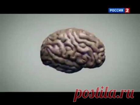 ЕЩЁ РАЗ О ВРЕДЕ САХАРА!