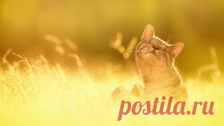 Картинки и фотографии на просторах интернета