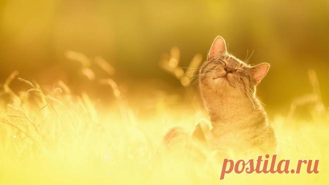 Картинки и фотографии на просторах интернета