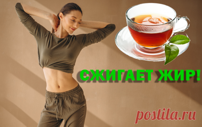 2 Чая Которые СЖИГАЮТ ЖИР На Животе Даже Во Сне ( Минус 2-4 кг в Неделю) | Правильное питание · Похудение · Диета · Спорт | Яндекс Дзен