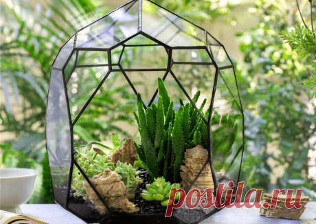 Флорариумы: виды, описание, идеи оформления ~ Planetalsad