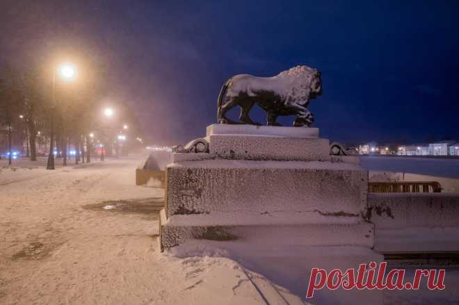 Яндекс Картинки: поиск похожих изображений