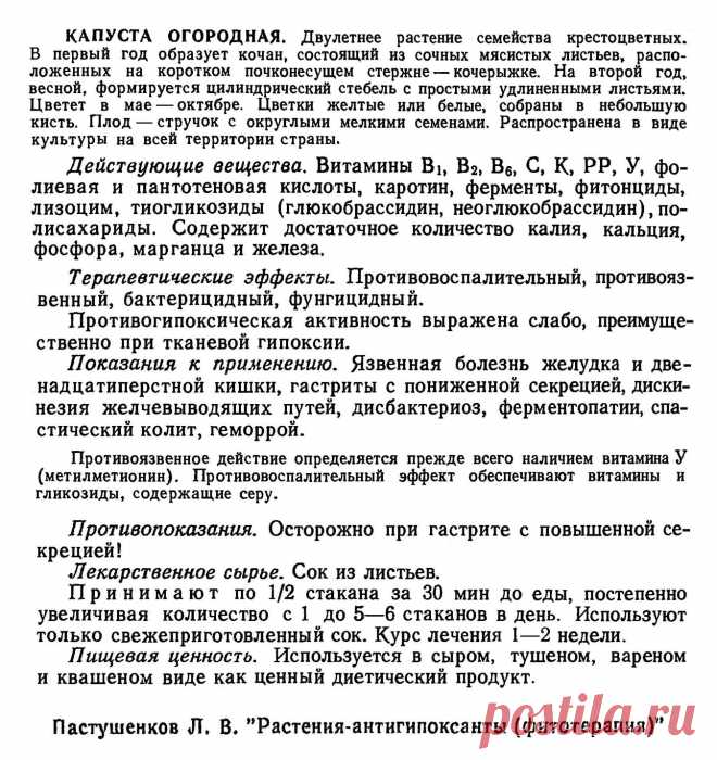 Капуста огородная | ЛЕКАРСТВЕННЫЕ РАСТЕНИЯ на К | Постила