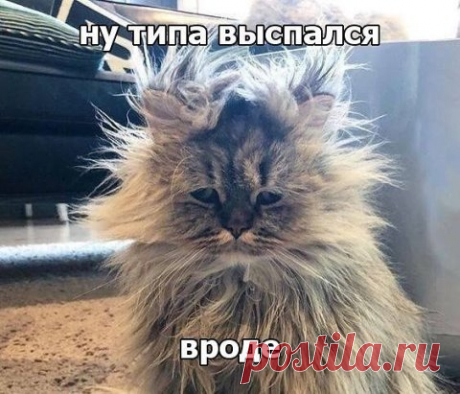 Доброе утро)