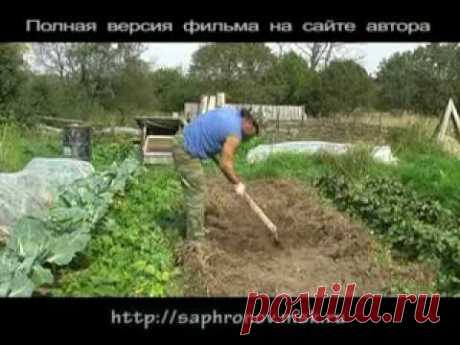 Не выбрасывайте проросший картофель!: Группа Практикум садовода и огородника