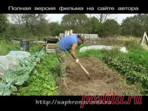 Не выбрасывайте проросший картофель!: Группа Практикум садовода и огородника