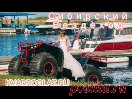 Выставка