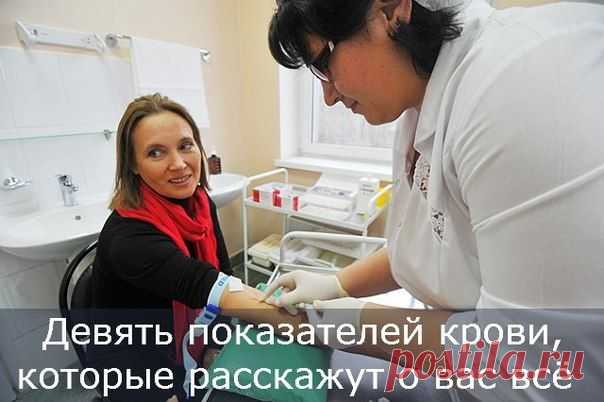 Красота & здоровье от природы