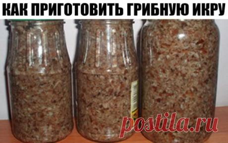 КАК ПРИГОТОВИТЬ ГРИБНУЮ ИКРУ 
 Сохрани на стену чтобы не потерять.
Соседи у меня просто замечательные, принесли мне два ведра опят. В этом году у нас урожай на эти грибы. Приготовила я икру, угостила соседей и вам рецептик хочу написать.
На 2кг отварных грибов(варить 15мин) взять 300г репчатого лука мелко порезать,300г моркови натереть на крупной тёрке. 
Обжарить лук и морковь в растительном масле.
Отварные грибы, обжаренные овощи, перекрутить на мясорубке, добавить 1стакан раст. масла, 3шт лавр