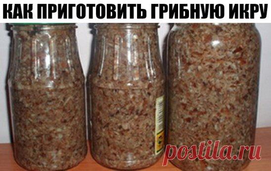 КАК ПРИГОТОВИТЬ ГРИБНУЮ ИКРУ 
 Сохрани на стену чтобы не потерять.
Соседи у меня просто замечательные, принесли мне два ведра опят. В этом году у нас урожай на эти грибы. Приготовила я икру, угостила соседей и вам рецептик хочу написать.
На 2кг отварных грибов(варить 15мин) взять 300г репчатого лука мелко порезать,300г моркови натереть на крупной тёрке. 
Обжарить лук и морковь в растительном масле.
Отварные грибы, обжаренные овощи, перекрутить на мясорубке, добавить 1стакан раст. масла, 3шт лавр