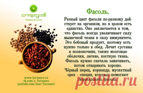 Фасоль