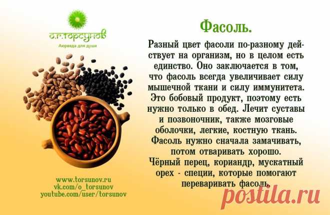 Фасоль