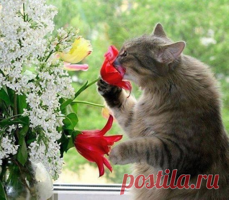 ДАЧА - НАШ ВТОРОЙ ДОМ
сергей зорин