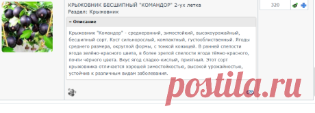 Личный кабинет
