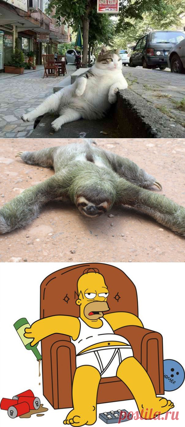 Вся правда о лени | ПолонСил.ру - социальная сеть здоровья