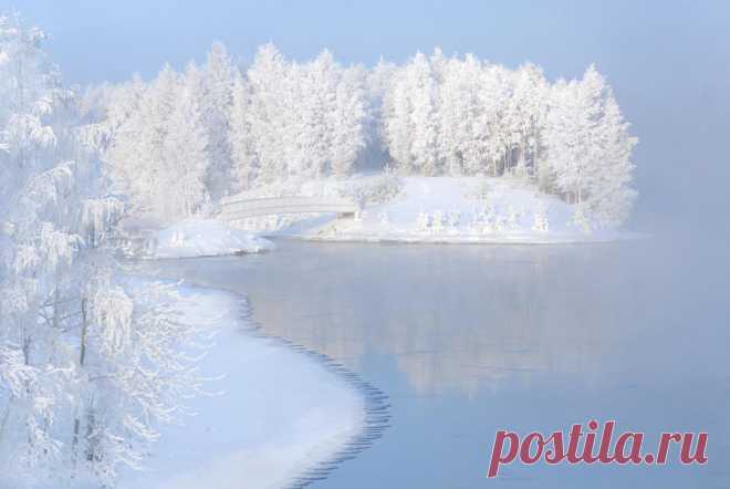 (99+) Одноклассники