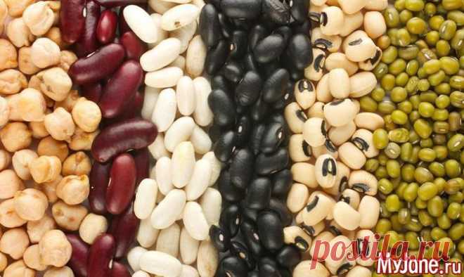 Оригинальные блюда с бобовыми - бобовые, рецепты, лобио, индийская кухня, чечевица
