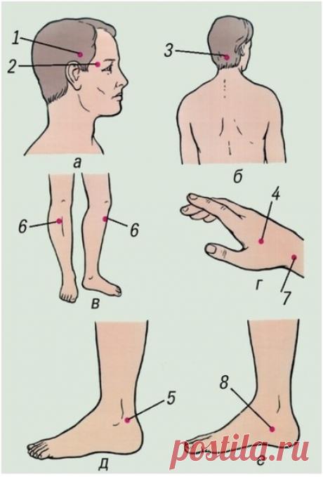 Проверенный способ лечения головной боли.

В отличие от таблетки, наши руки всегда при нас!

Для снятия головной боли, в том числе при мигрени, используются несколько симметричных точек на голове и конечностях. Если есть возможность, лучше использовать все по очереди, нет – начните сверху вниз. Возможно, вы ощутите, что 2-4 точки помогают вам лучше всего – вполне допустимо пользоваться только ими.
Показать полностью…