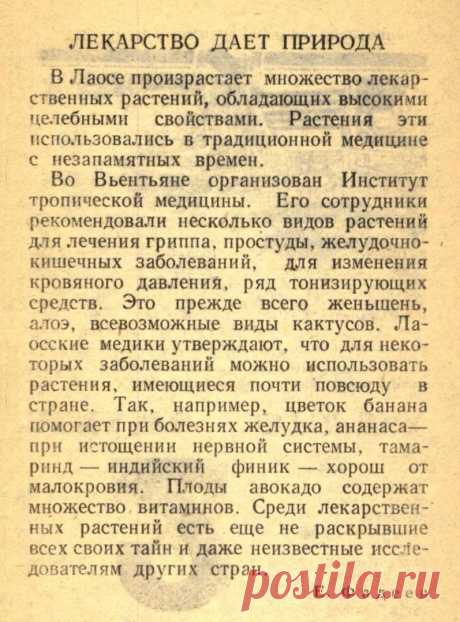 Лекарство дает природа