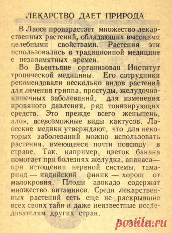 Лекарство дает природа