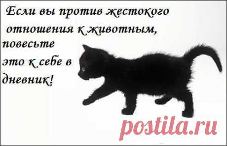 Когда обижают животных - Поиск в Google