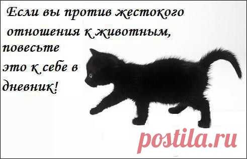 Когда обижают животных - Поиск в Google