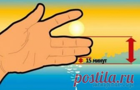 8 школьных «шпаргалок», которые точно пригодятся каждому взрослому