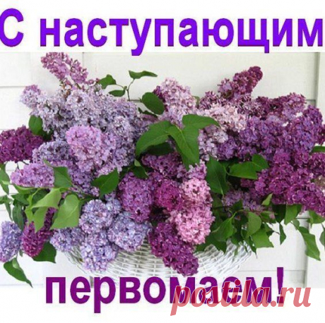 Виктория Луценко