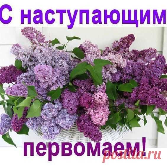 Виктория Луценко