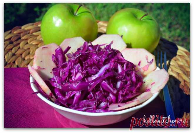 Салат из красной капусты — Привет, Кухонька! Пошаговые рецепты с фотографиями