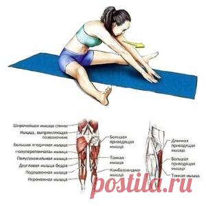 МОЩНЫЙ ОБРЯД - МирТесен