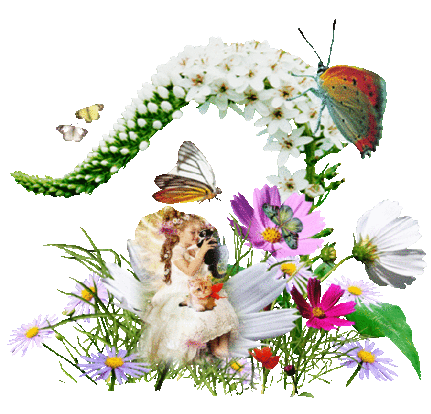 fleurdemai 'Профиль Ростов »Ма Planète PPS / имеет СЛАЙДШОУ