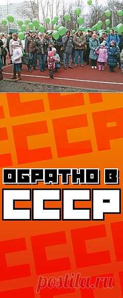 Даешь бесплатные детские сады! / Закон и Порядок