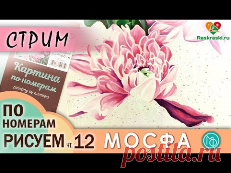 Раскрашиваем картину по номерам МОСФА &quot;Астры&quot; 12 ЧАСТЬ в прямом эфире! Рисовать просто! Раскраски