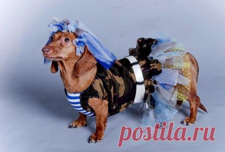 ВДВ-вешная невеста - костюм выполнен мастерами ЗООателье НЮАНС