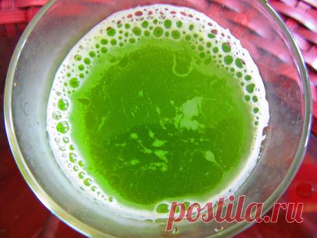 Луковый напиток. Хлорофилл и чистая кровь | Быстрые рецепты Живое питание | Дзен