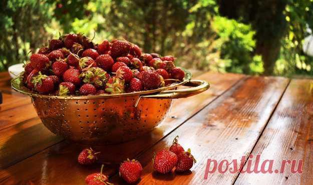 Клубничное мороженое. И польза клубники | Эффективное похудение. Все виды диет Клубничное мороженое. И польза клубники