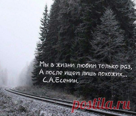 Нелли Миронова