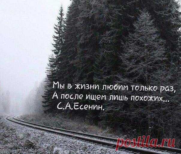 Нелли Миронова