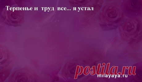 Картинки со статусами. Подборка №milayaya-status-37590720052020 . Милая Я