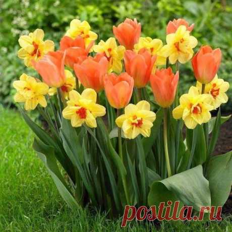 ГОРОСКОП НА АПРЕЛЬ 2017 ГОДА -