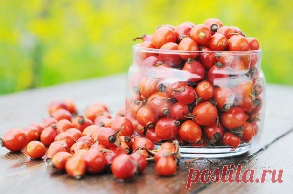 Настойка из шиповника на водке. Алкогольная «аскорбинка»