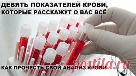 КАК САМОСТОЯТЕЛЬНО ПРОЧЕСТЬ АНАЛИЗ КРОВИ. ОБЩИЙ И БИОХИМИЧЕСКИЙ АНАЛИЗ КРОВИ